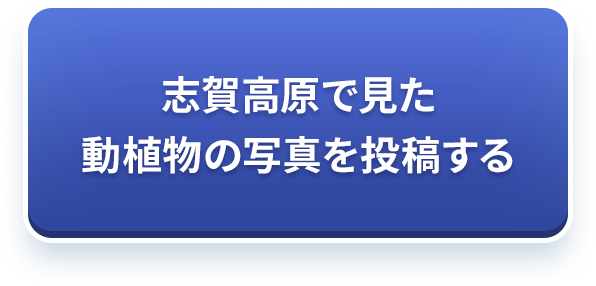 志賀高原で見た動植物の写真を投稿する